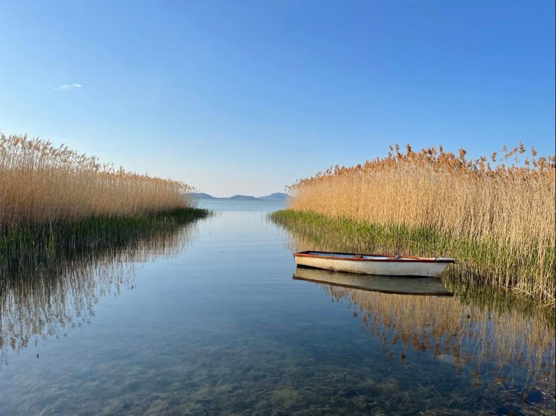Fenyves Beach Apartman Delux Balatonfenyves Exteriör bild